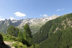 IMG_0055