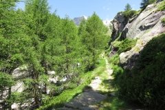IMG_0065