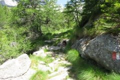IMG_0070