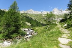 IMG_0080