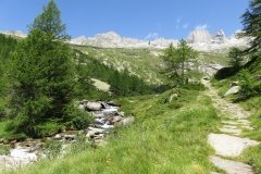 IMG_0082