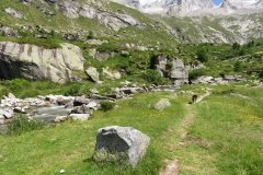 IMG_0095