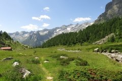 IMG_0098