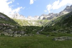 IMG_0101