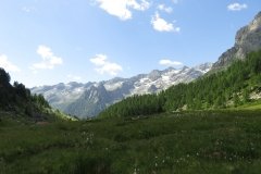 IMG_0105