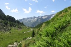 IMG_0107
