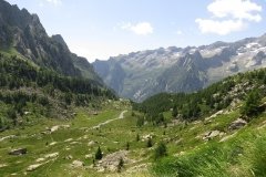 IMG_0116