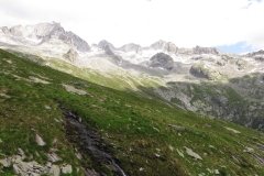 IMG_0137