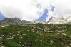 IMG_0140