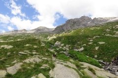 IMG_0142
