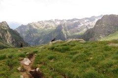 IMG_0204