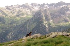 IMG_0205