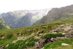IMG_0212