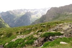 IMG_0213