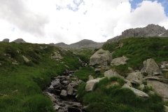 IMG_0222