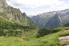 IMG_0226