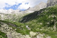 IMG_0256
