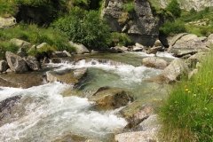 IMG_0257