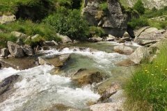 IMG_0258