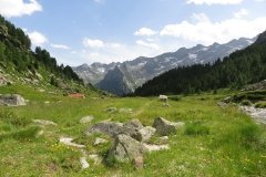 IMG_0261