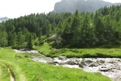 IMG_0269