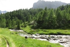 IMG_0271