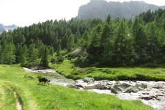 IMG_0272