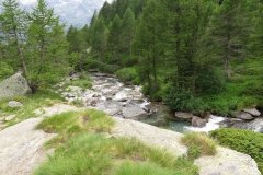 IMG_0277
