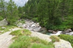 IMG_0278