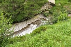 IMG_0281