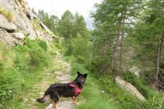 IMG_0282