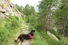 IMG_0283