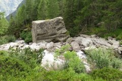IMG_0285