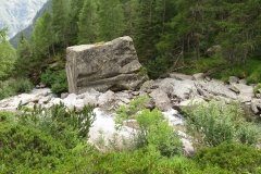IMG_0286