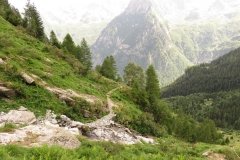 IMG_0290