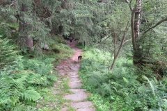 IMG_0305
