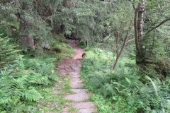 IMG_0306