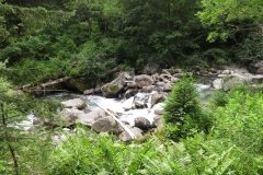IMG_0307