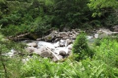 IMG_0308