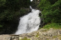IMG_0310