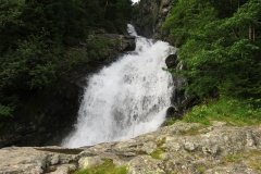 IMG_0311