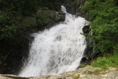 IMG_0313