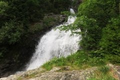 IMG_0317