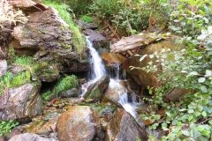IMG_0009