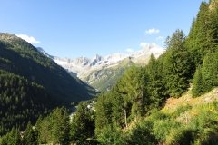 IMG_0013