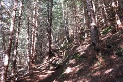 IMG_0015