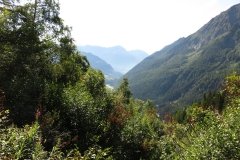 IMG_0018