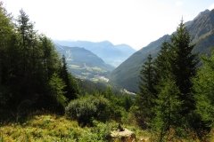 IMG_0024