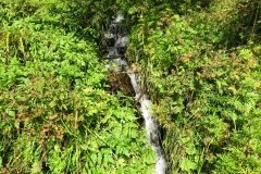 IMG_0026
