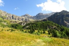 IMG_0031